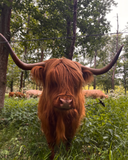  Speicher Hobrechtsfelde