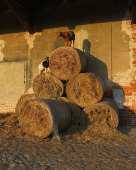  Speicher Hobrechtsfelde