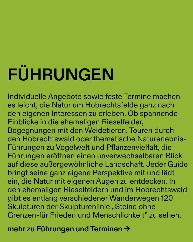 Speicher Hobrechtsfelde