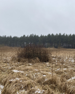  Speicher Hobrechtsfelde