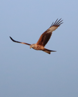  Speicher Hobrechtsfelde