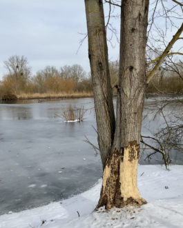  Speicher Hobrechtsfelde