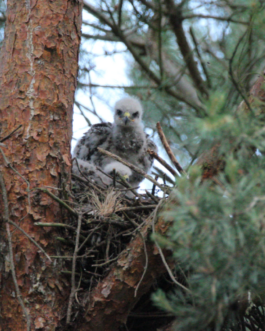 Speicher Hobrechtsfelde