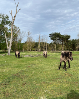  Speicher Hobrechtsfelde