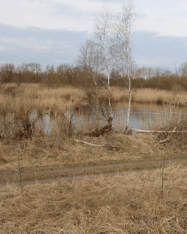  Speicher Hobrechtsfelde