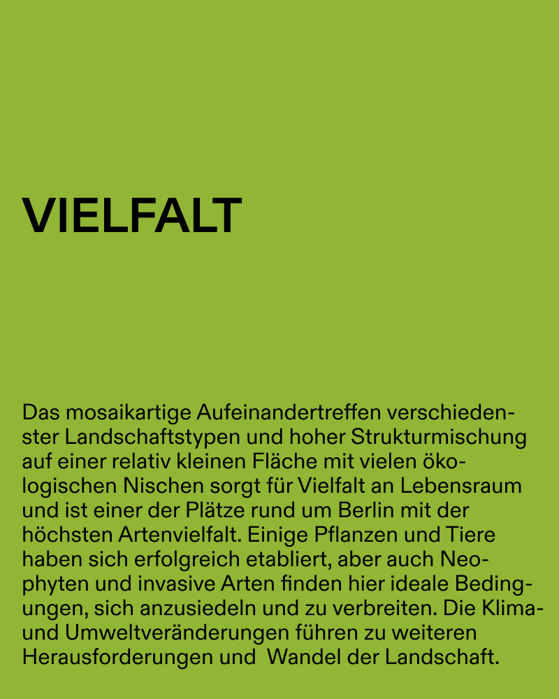 Speicher Hobrechtsfelde