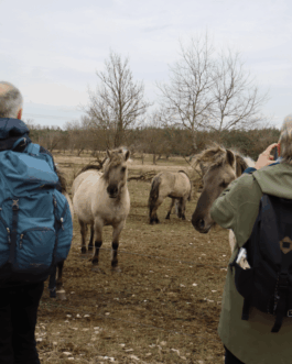  Speicher Hobrechtsfelde