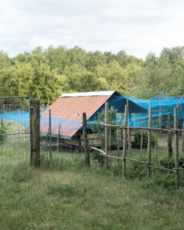  Speicher Hobrechtsfelde