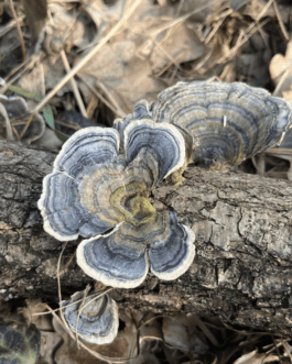  Speicher Hobrechtsfelde