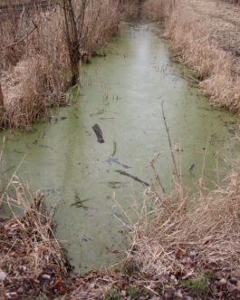  Speicher Hobrechtsfelde