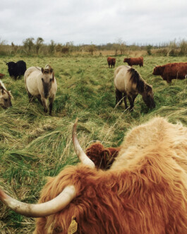  Speicher Hobrechtsfelde