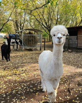  Speicher Hobrechtsfelde