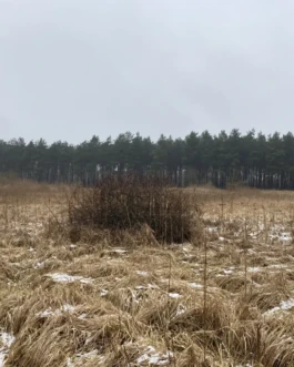  Speicher Hobrechtsfelde
