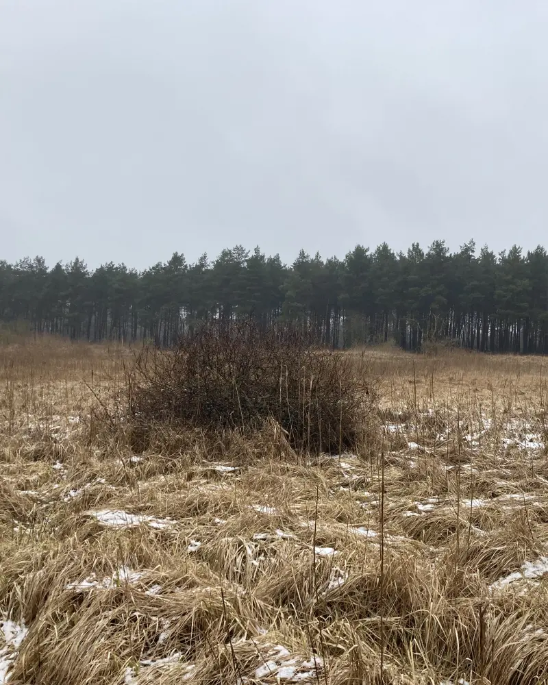  Speicher Hobrechtsfelde