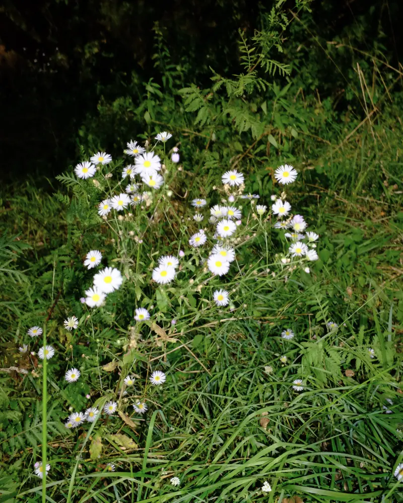 Speicher Hobrechtsfelde