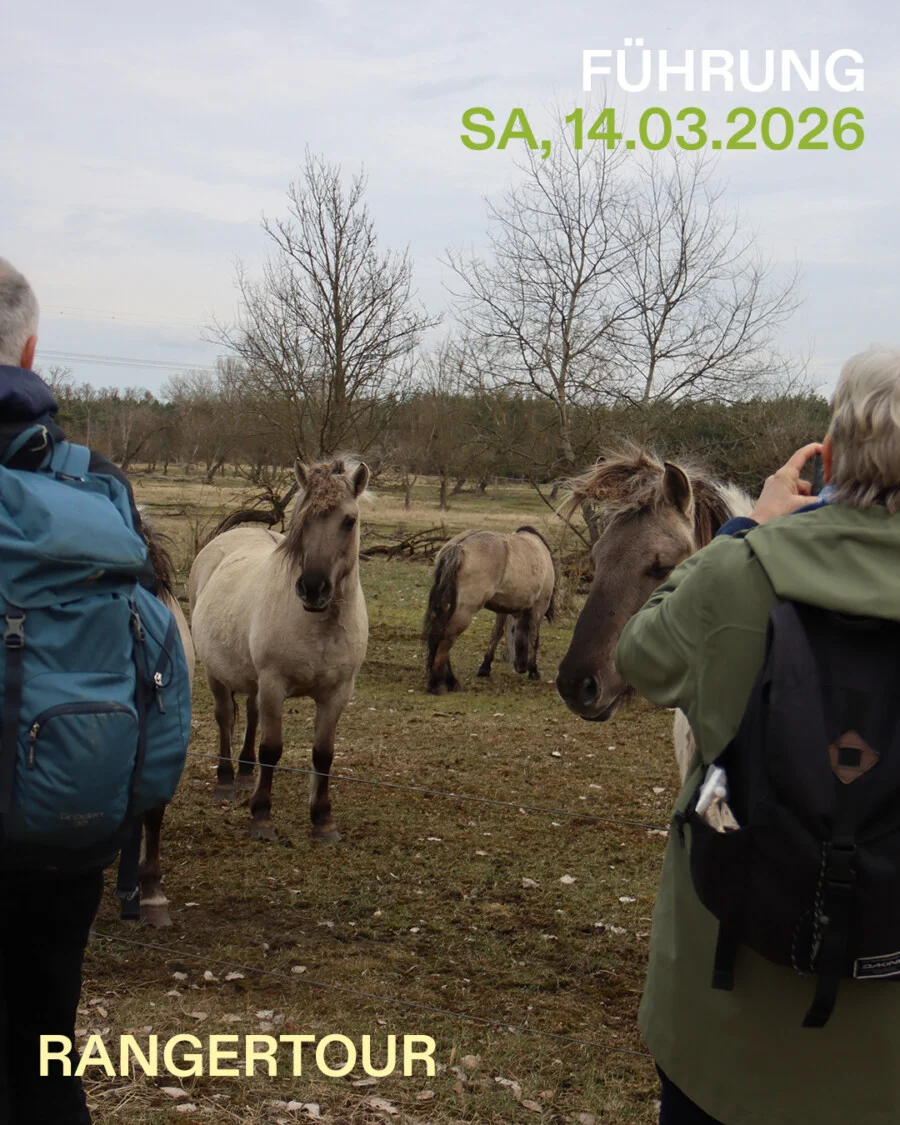 Speicher Hobrechtsfelde